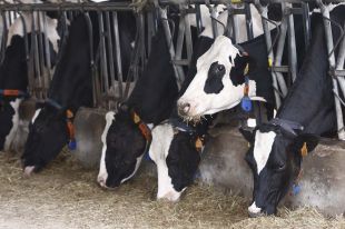 Les exportacions gironines creixen un 11% el 2021 i superen per primer cop els 6.000 MEUR
