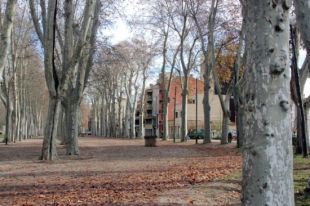 ERC de Girona reclama una partida als pressupostos per a la Devesa