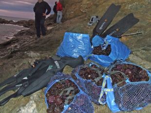 Atrapen un pescador furtiu amb 900 garotes al Port de la Selva