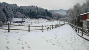 La nevada ha obligat a tancar preventivament l'institut de Sant Hilari Sacalm