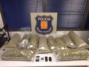 Detingut a Verges un veí de Salt amb onze quilos de marihuana al cotxe