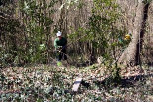 Banyoles recupera 9 hectàrees de boscos inundats al sector de la Puda per a l'ús ciutadà