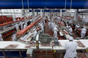 Rècord històric de les exportacions gironines durant el 2016