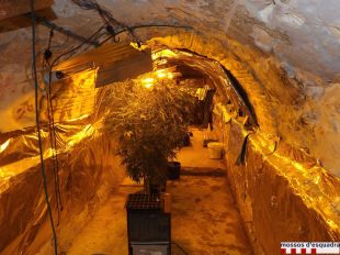 Troben una plantació de marihuana en una fortificació del segle XVII a Girona