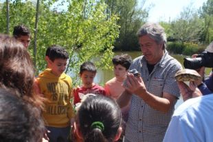 Alliberen 70 tortugues d'estany al riu Ter entre Anglès i Girona