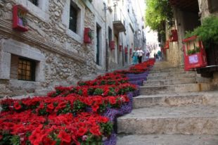 Girona guanya el premi ASTER Comunicació per la campanya del 'Temps de Flors'
