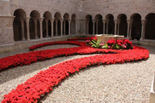 Una azalea del 'Temps de Flors' a canvi d'un euro pel Banc d'Aliments