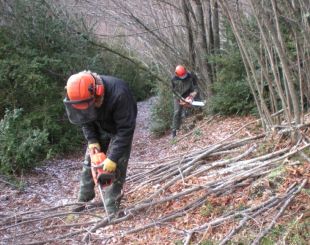 El nou edifici del Consorci Espais d'Interès Natural del Ripollès estarà acabat abans de 2011