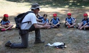 Més de 500 escolars participen en l'anellament de cigonyes al Castell de Peralada