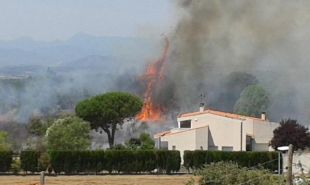 Crema un incendi a l'accés de Vilamaniscle