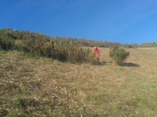 Es crea una franja de prevenció d'incendis de 26 hectàrees al puig Tifell