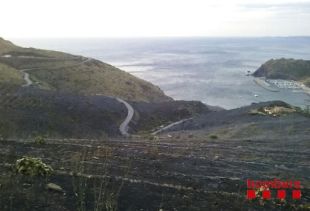 Un incendi calcina 20 hectàrees de vegetació forestal a Portbou