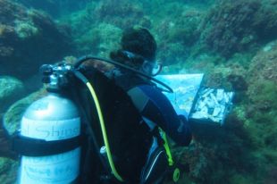 L'art de pintar sota el mar