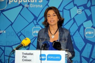 Veray (PP) assegura que el descens de la inversió prevista a l'N-II no atura projectes