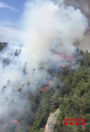 Declarat un incendi forestal a Quart, dins les Gavarres