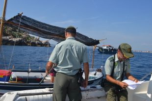 Denunciat un pescador subaquàtic furtiu a les illes Medes 