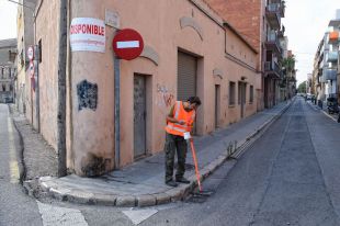 Figueres intenta combatre el mosquit tigre