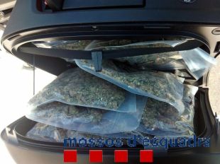 Detingut un motorista carregat amb 8 quilos de marihuana que va escapar d'un control a l'N-II