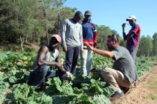 Un projecte permet a joves immigrants crear la seva pròpia cooperativa a Vidreres