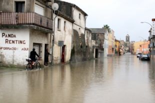 Els bombers ja han fet una cinquantena de sortides per la llevantada