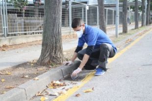 El mosquit tigre avança i ja s'ha establert a 134 municipis gironins
