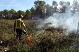 Els Bombers fan cremes al Montgrí per facilitar l'extinció d'un possible futur incendi
