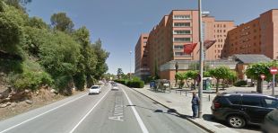 Girona tallarà diumenge una avinguda per a fer una batuda de senglars