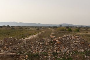 Llum verda a la restauració ambiental dels ecosistemes costaners de la Pletera