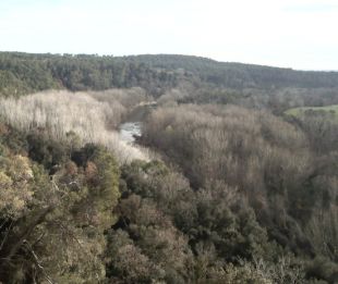 LIMNOS i l'ANG, en contra de convertir 29,5 hectàrees de bosc en conreus a Vilademuls 