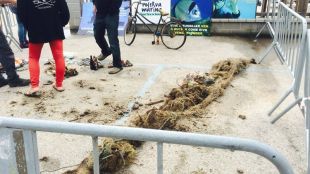 Recullen 4.000 signatures per declarar reserva marina la costa de Sant Feliu de Guíxols