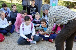 Finalitzen els treballs de millora de tres hàbitats fluvials de l'Alt Empordà