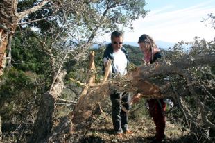 L'exèrcit investiga per què uns projectils van caure en boscos d'Espolla i a tocar d'un mas