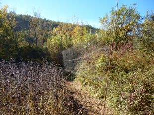 Enxampen un caçador furtiu d'ocells a la Vall d'en Bas