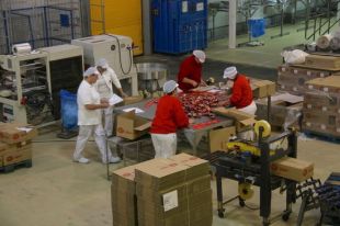 Frit Ravich invertirà 20 MEUR per ampliar la fàbrica i doblar la producció en tres anys