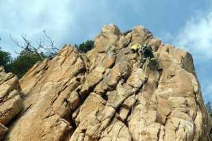 Desmunten part de l'ampliació de la via ferrada de Sant Feliu de Guíxols perquè afecta aus protegides