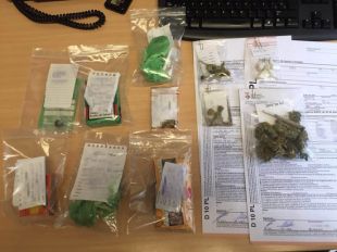 Dotze denúncies per tinença de substàncies estupefaents en una rave il·legal a Llagostera