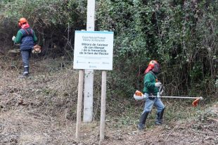 Fan una tala selectiva i desbrossaments a dues zones boscoses de Porqueres de gran interès natural