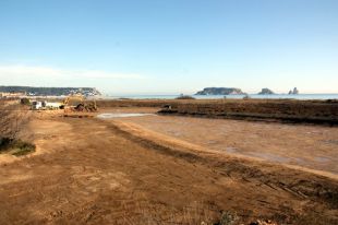 L'antic passeig de la Pletera ja és història i recupera l'aspecte de fa tres dècades