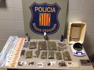 Desmantellen una associació cannàbica a Figueres que servia com a punt de venda de droga