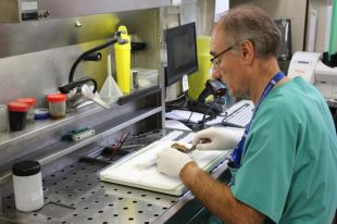 Les àrees d’anatomia patològica del Trueta i el Santa Caterina s’integren en un sol servei
