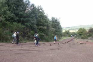 Olot va rebre un 10% més de visitants estrangers el 2015