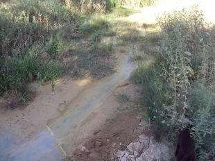 Denuncien la dessecació de la riera de Cassinyola a causa de les obres del TAV a Bàscara