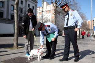 Els veterinaris gironins cedeixen lectors de microxip als mossos per trobar els animals perduts