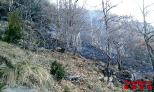 Un incendi forestal crema 1,5 hectàrees sota el pic de Comanegra, a Beget