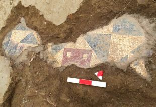 Arqueòlegs de la UdG descobreixen un mosaic del segle II d.C. a Sant Antoni Calonge