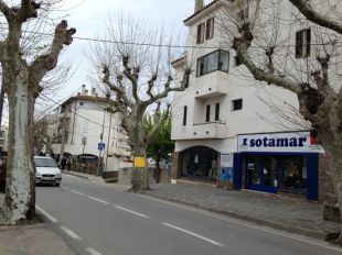 L'Ajuntament de Cadaqués vol aparcar fins la tardor el debat sobre la tala dels plàtans
