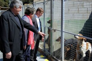 El Centre d'Acollida d'Animals de la Selva recull 619 gats i gossos el 2015