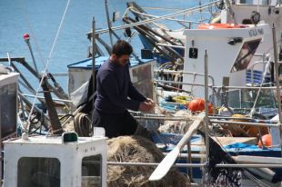 Els pescadors gironins porten tres anys sense ajudes per les aturades biològiques