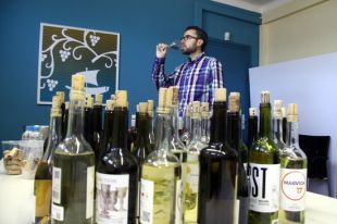 Els vins de la DO Empordà, camí de rècord a la guia Peñín