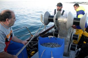 Els pescadors engeguen amb optimisme la temporada del sonso